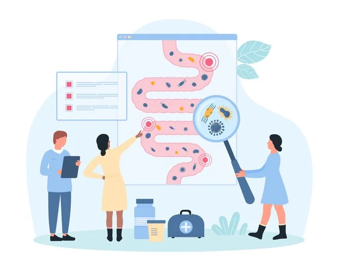 Could HMO help support the gut microbiome after antibiotics?
