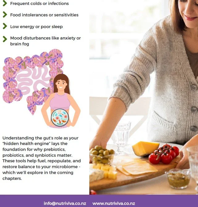 website image for preprobiotic guide.jpg
