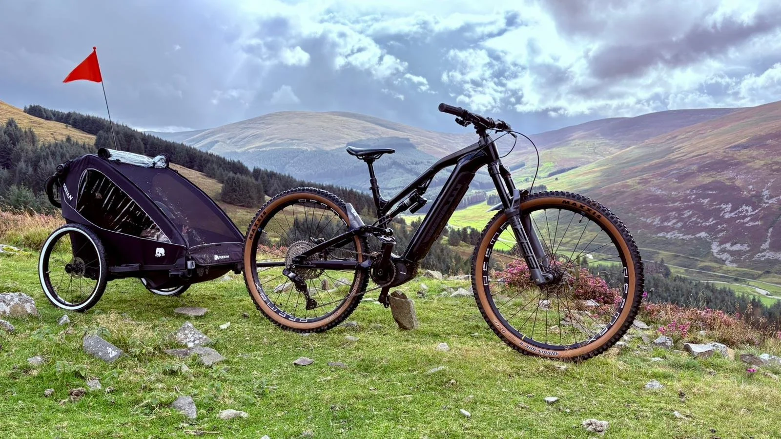 Healthy Hearts. Active Minds. Inspired Design.