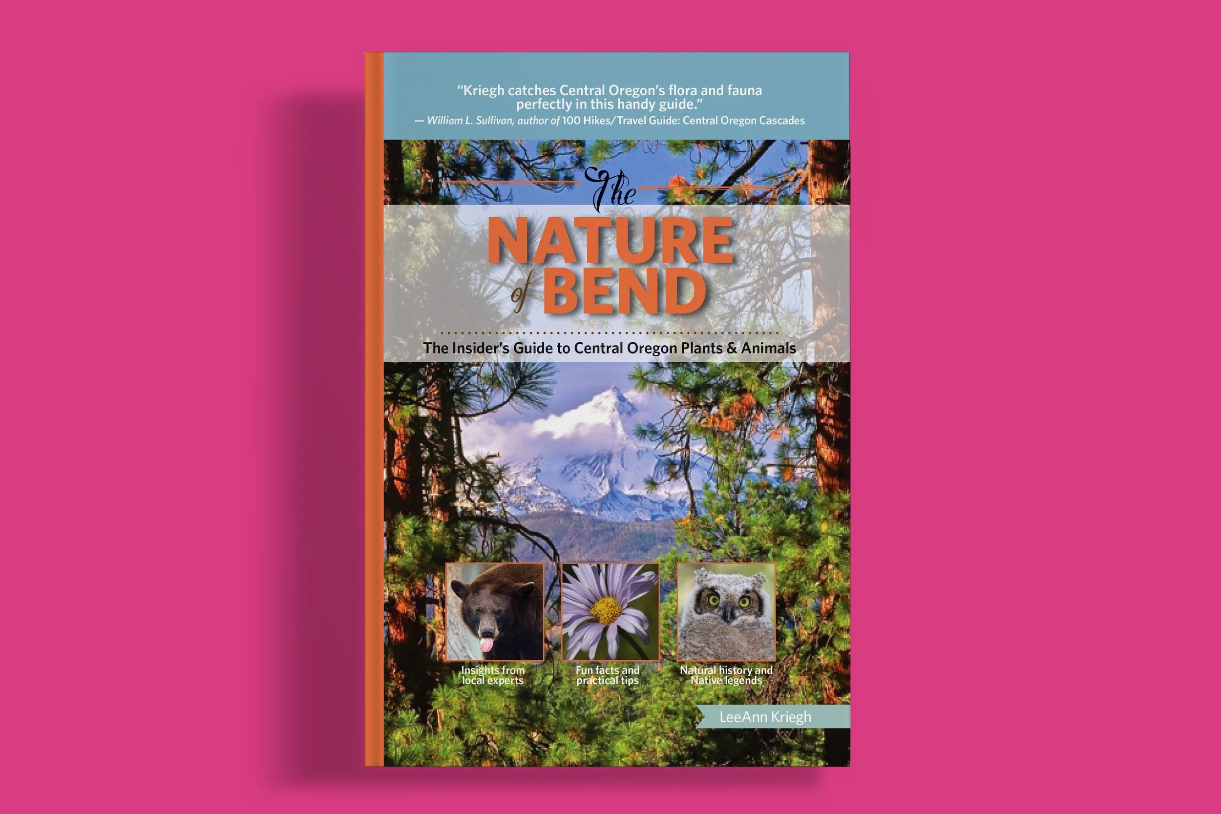 2 thenatureofbend_cover.jpg