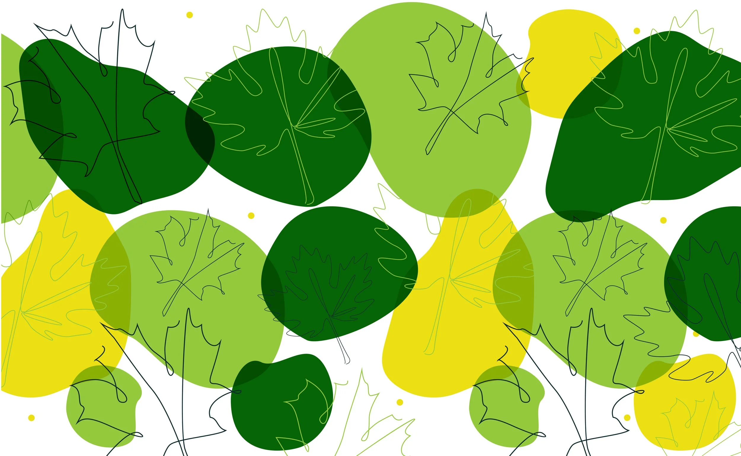 Skytree_window and door_maple.jpg