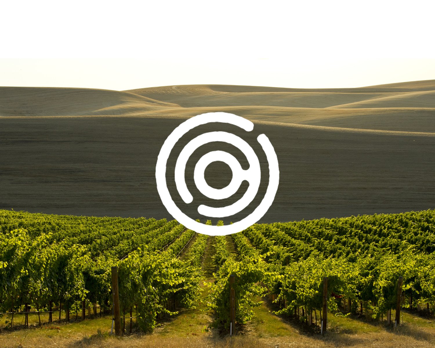 Crosscurrent Collective