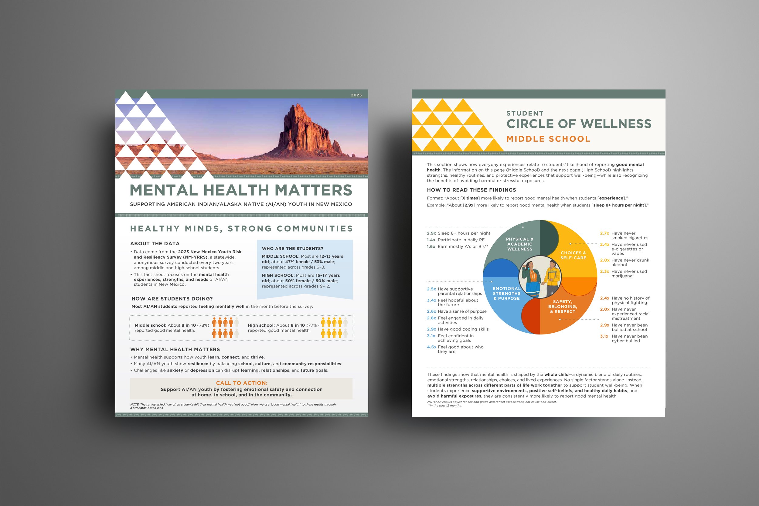 4 aastec_mental health.jpg