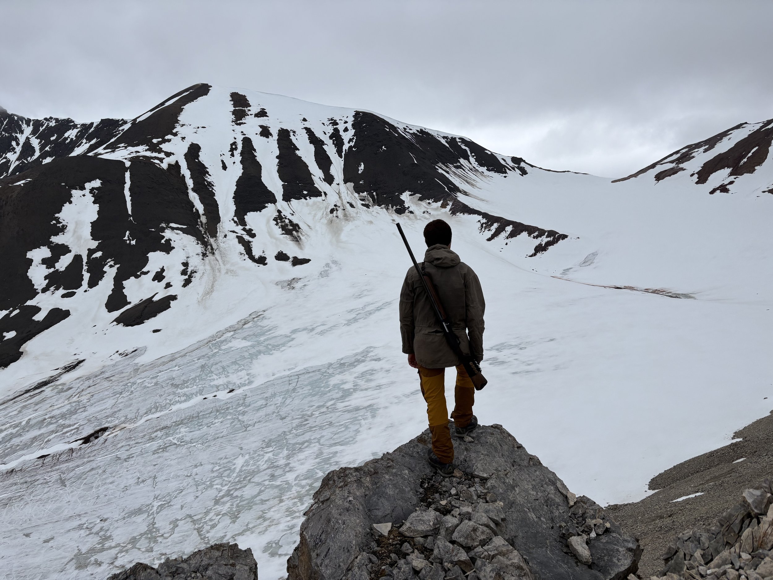 Sunday 28 June - Monday 6 July 2026 (9 days) Longyearbyen to Ny-Ålesund and back!