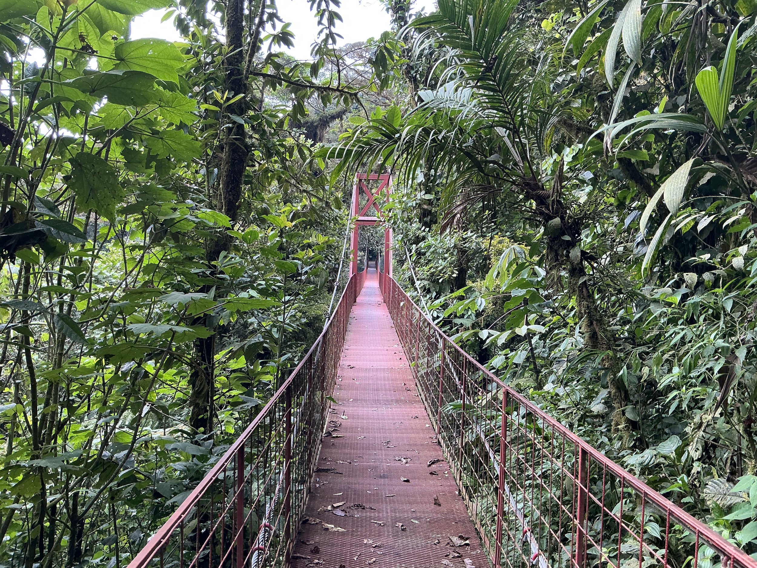 How to Get Started With Regeneration