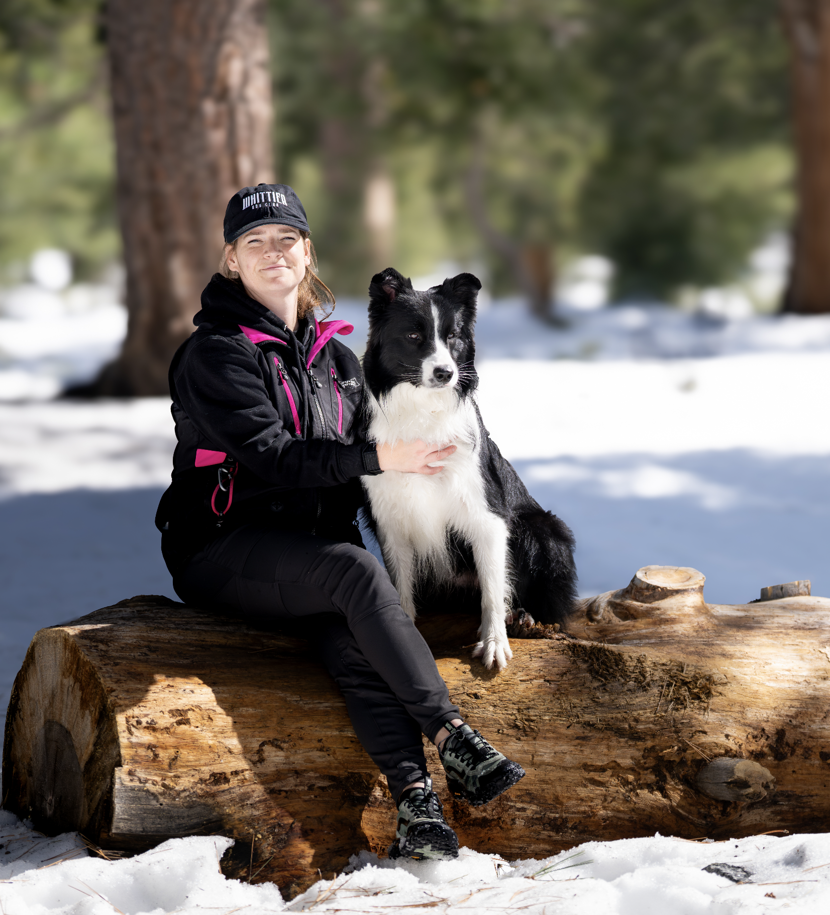 A woman sitting on a large fallen log in a snowy forest, holding a Border Collie.