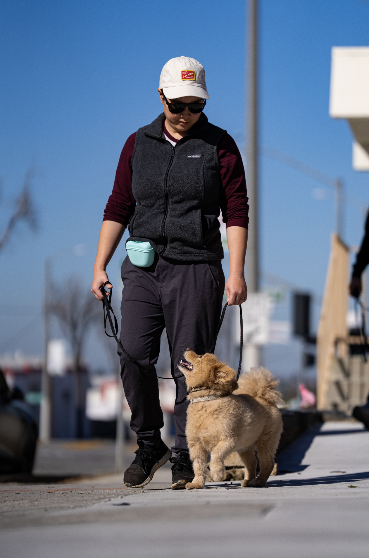 A person walking a fluffy golden dog on a leash outdoors on a sunny day.