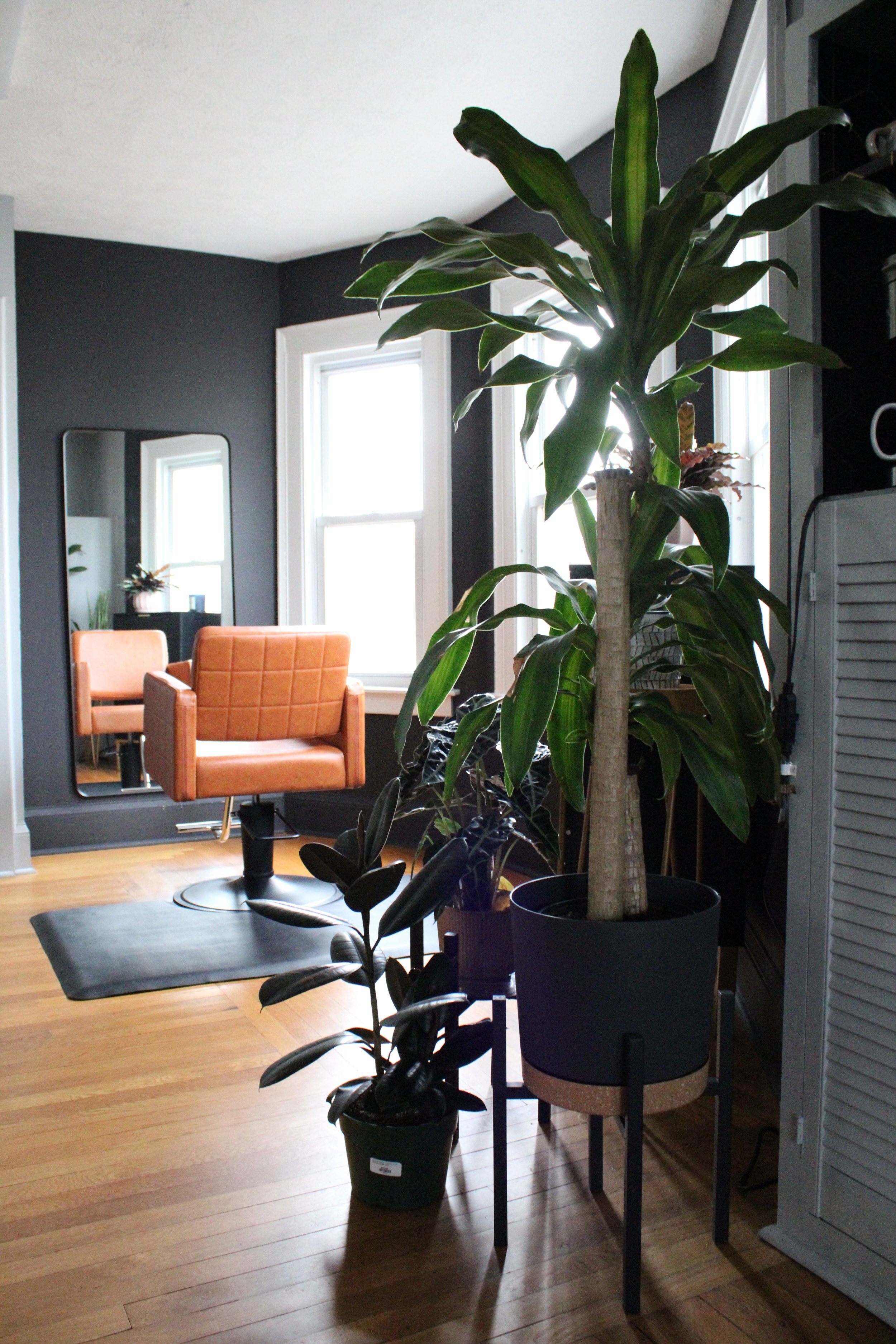 Bright salon styling station with natural light, plants, and leather chairs.