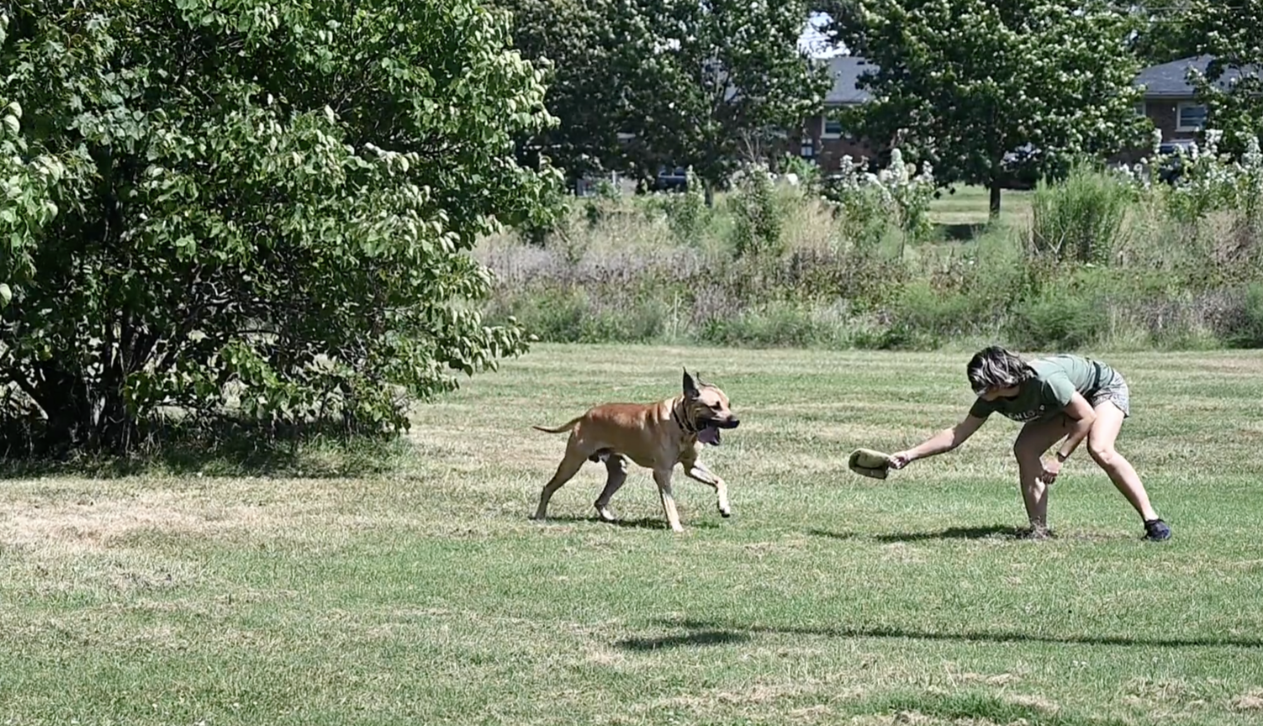 Screenshot 2026-02-03 at 3.17.07 PM.png