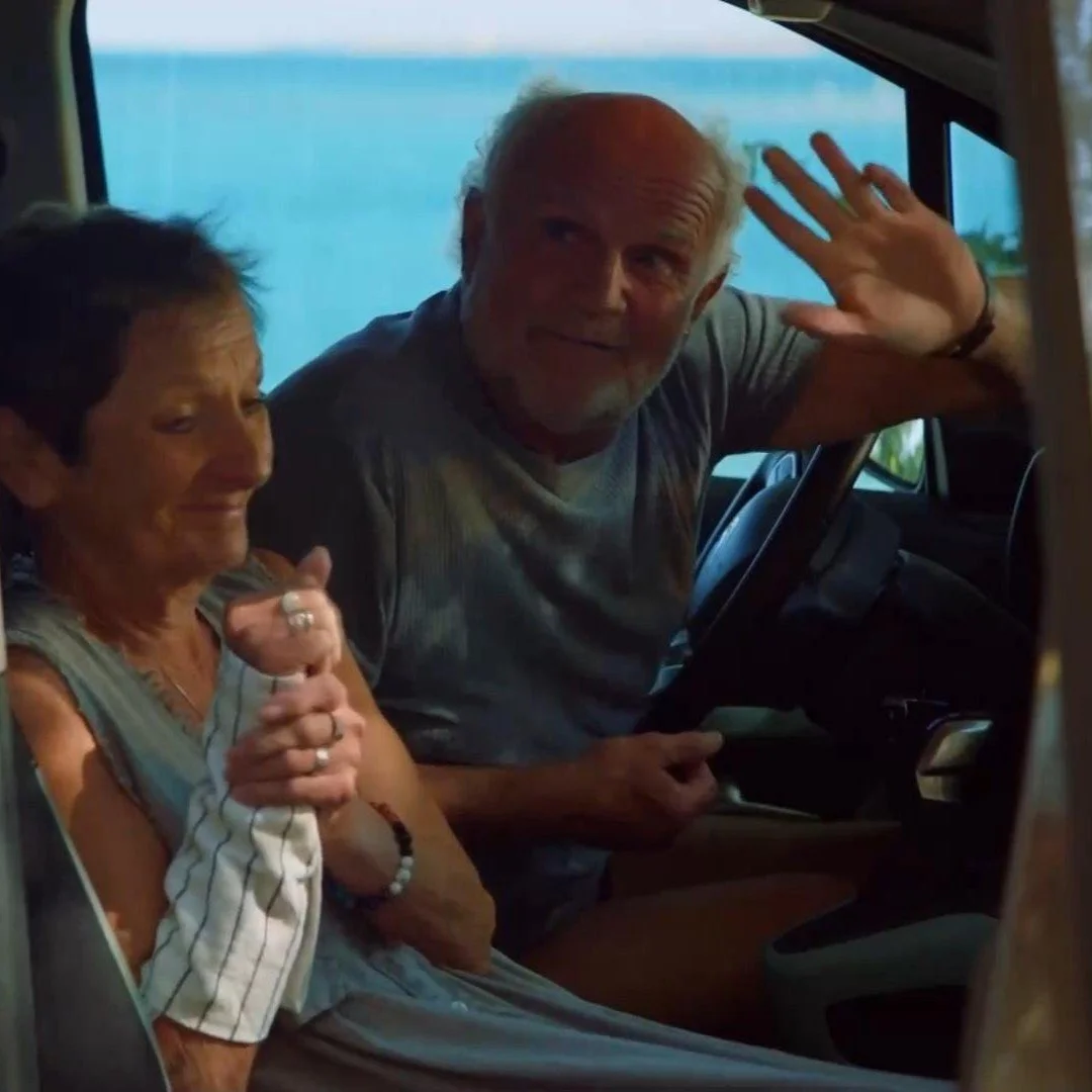 Branko Cvek - televizijske nadaljevanke