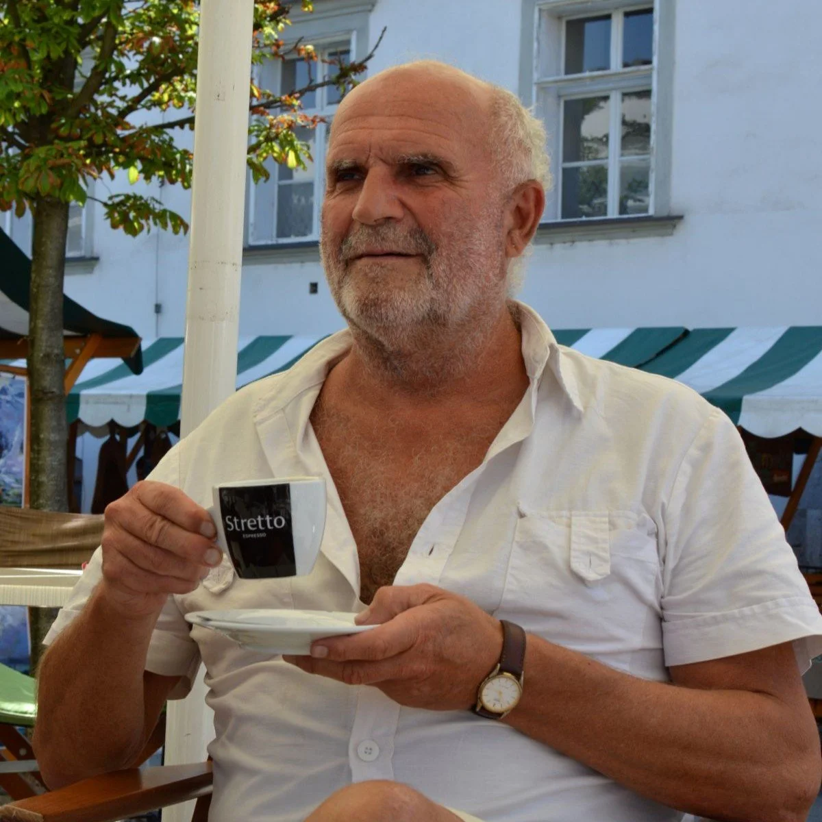 Branko Cvek - statist