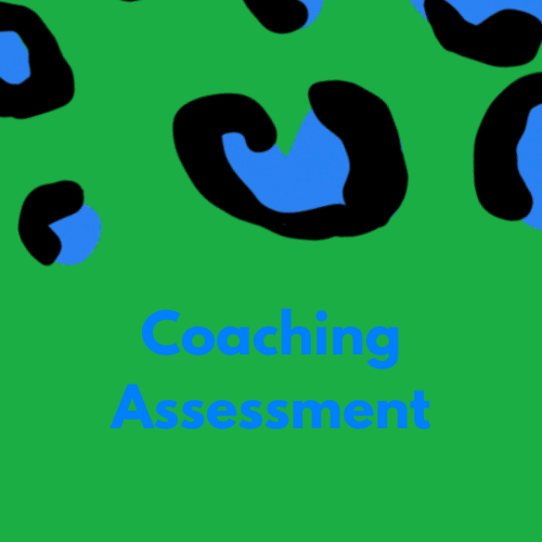 coaching bundle (1).png