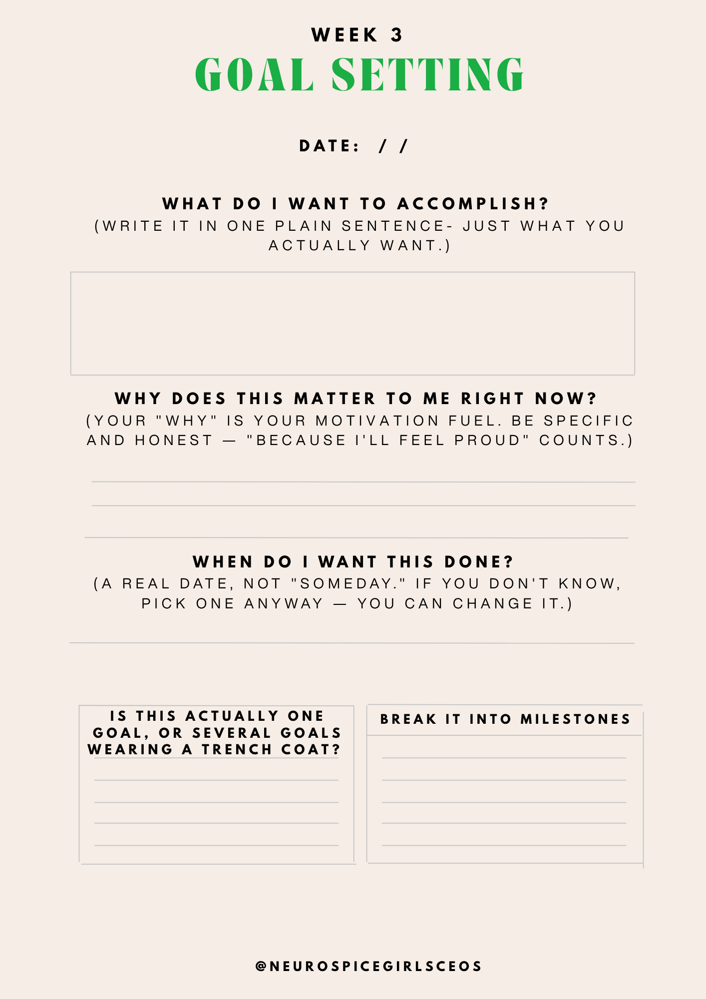 NSG Accountability journal.png