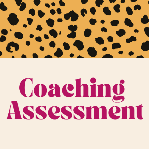 101 Coaching Assessment