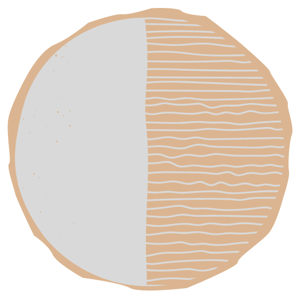 A stylized illustration of a round object with a beige outer border, divided into two halves. The left half is light gray with tiny speckles, and the right half has beige lines on a darker beige background, resembling a simplified cross-section of a fiber or a geological layer.