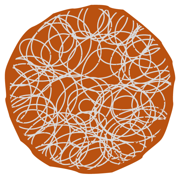 Spiraling white lines on a burnt orange, organic-shaped circle.