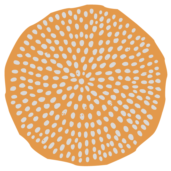 Sketched white dots with a light orange background.