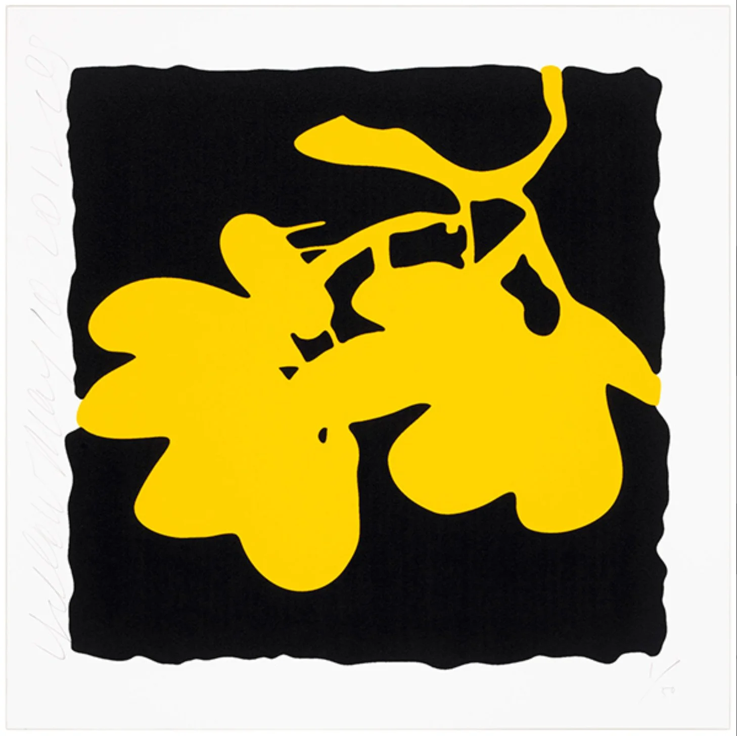 Yellow, May 10, 2012.jpg