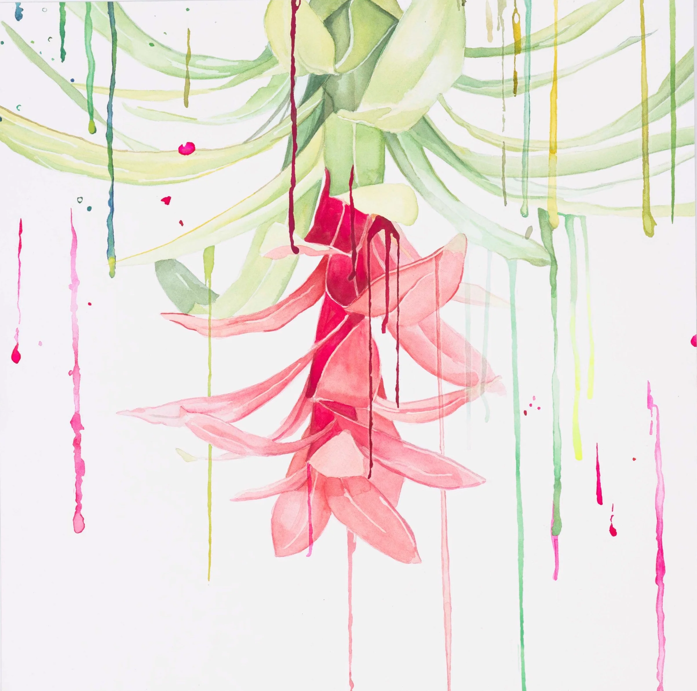 Hybrid Floral Study I (Copy)