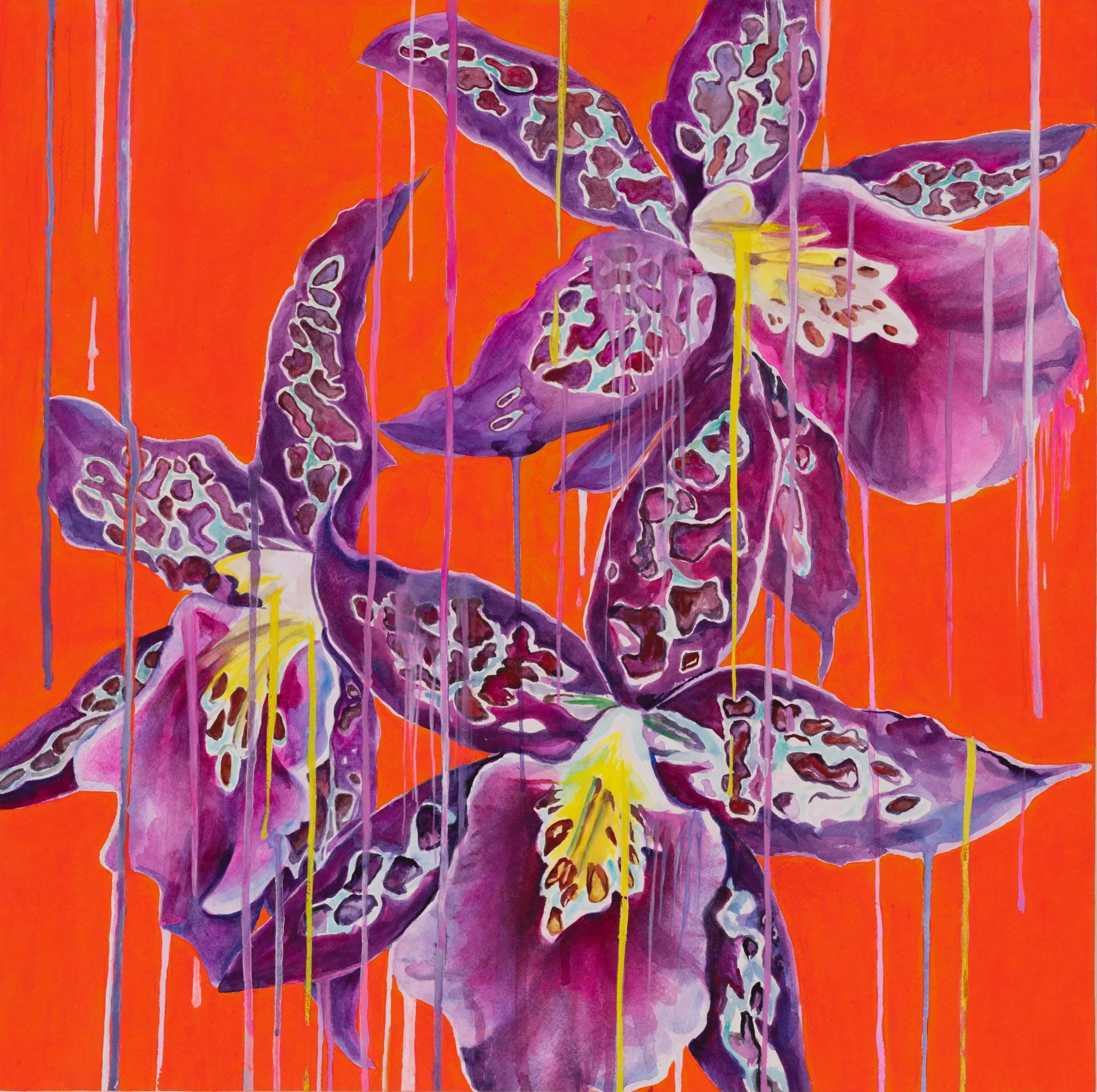 Hybrid Floral Study IV (Copy)