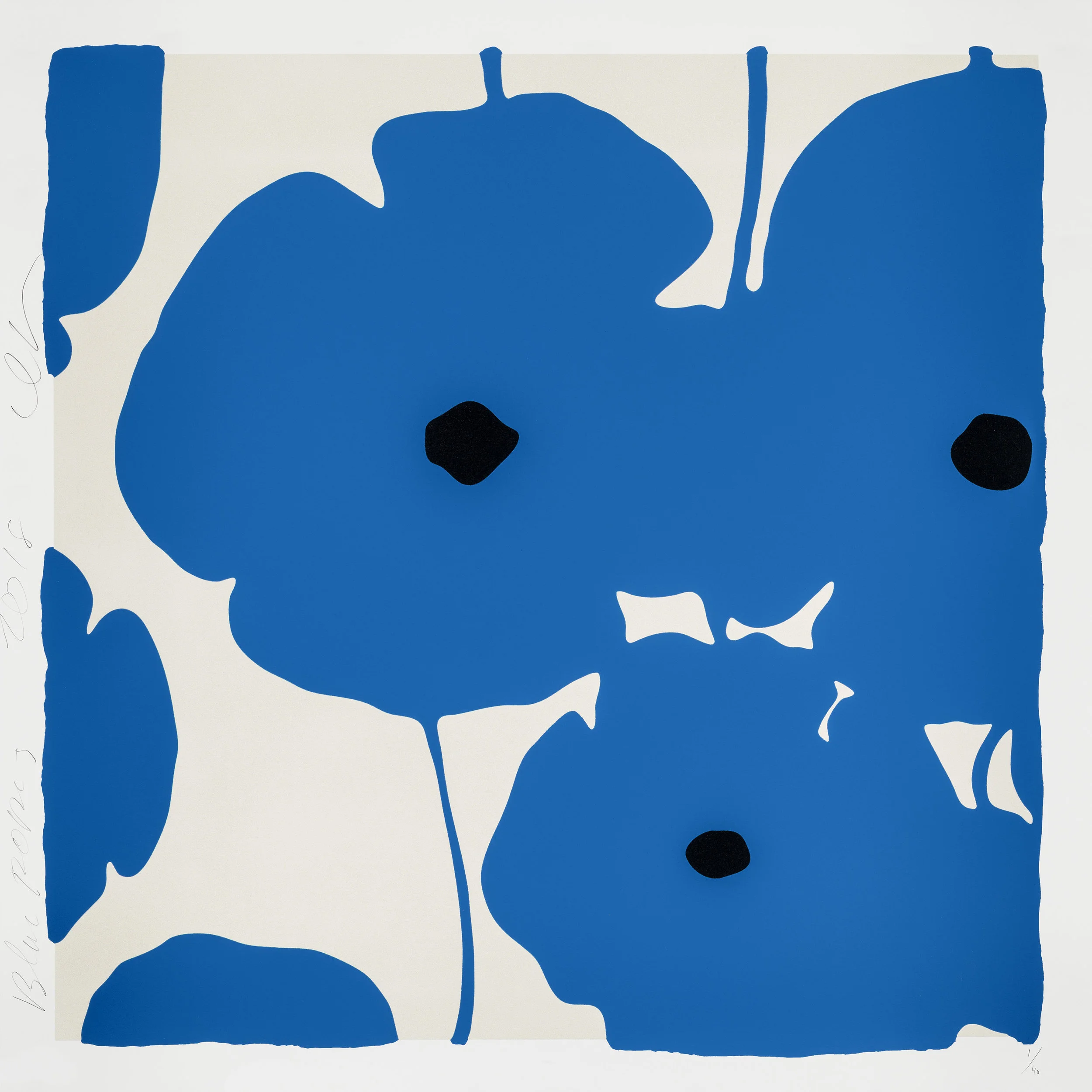 Blue Poppies (Copy)