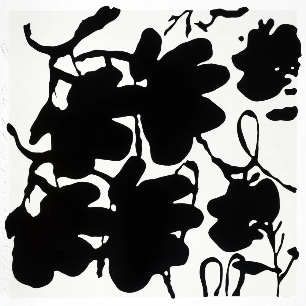 LANTERN FLOWERS, BLACK AND WHITE (Copy)