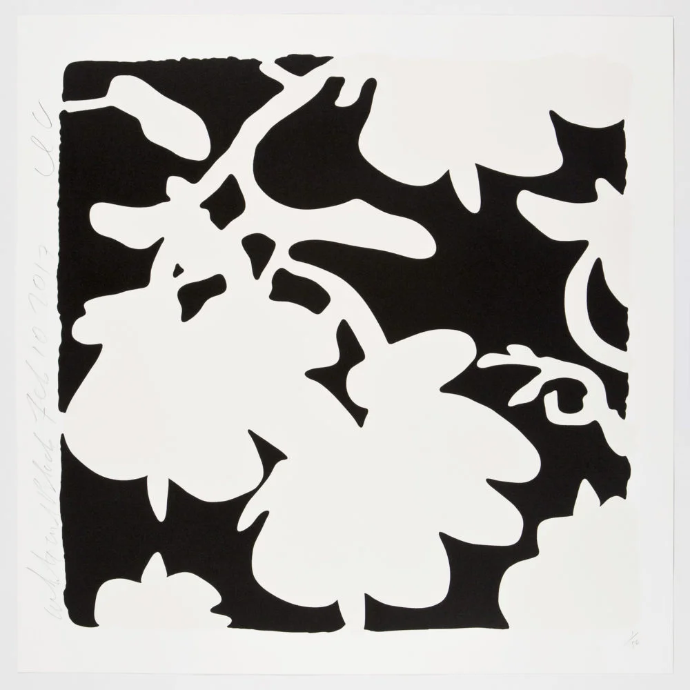 LANTERN FLOWERS, WHITE AND BLACK (Copy)