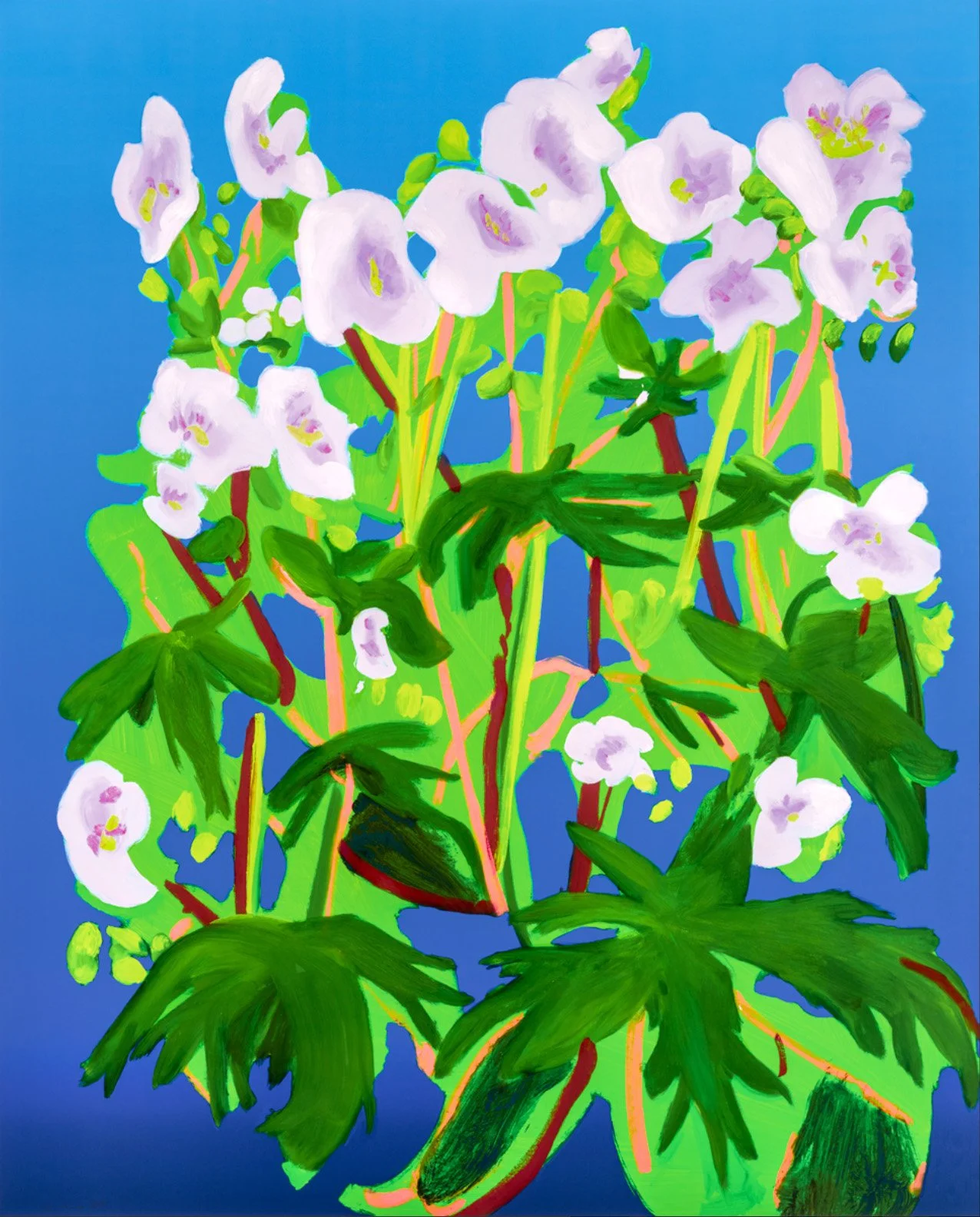 Screenshot 2025-12-18 at 9.30.35 PM.jpg