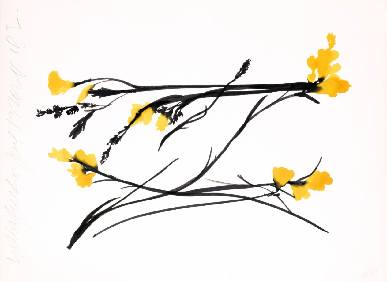 Screenshot 2025-10-22 at 4.45.42 PM.jpg