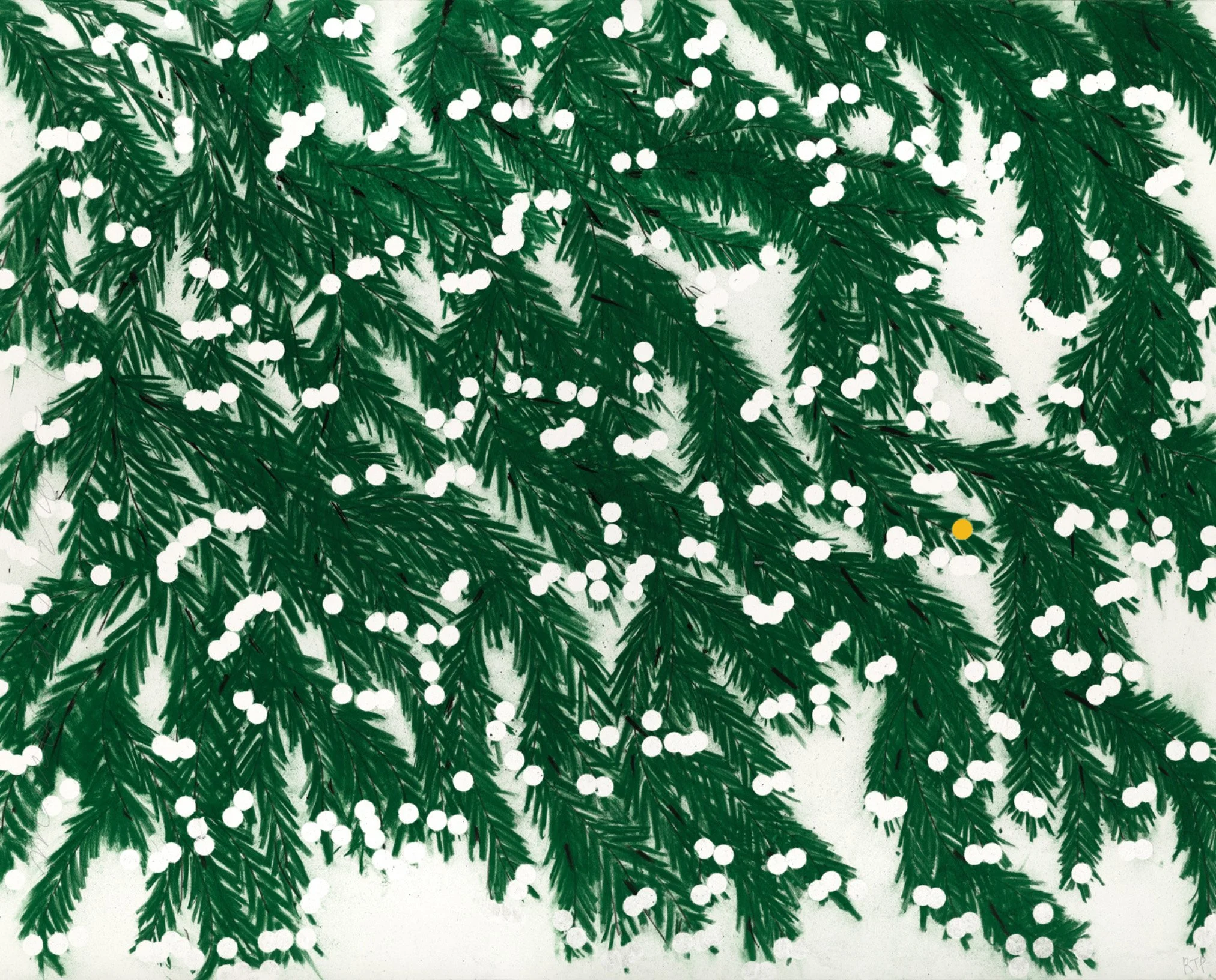 Mimosa, April12, 2023.jpg