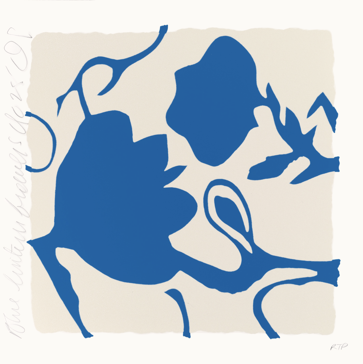 Blue Lantern Flowers