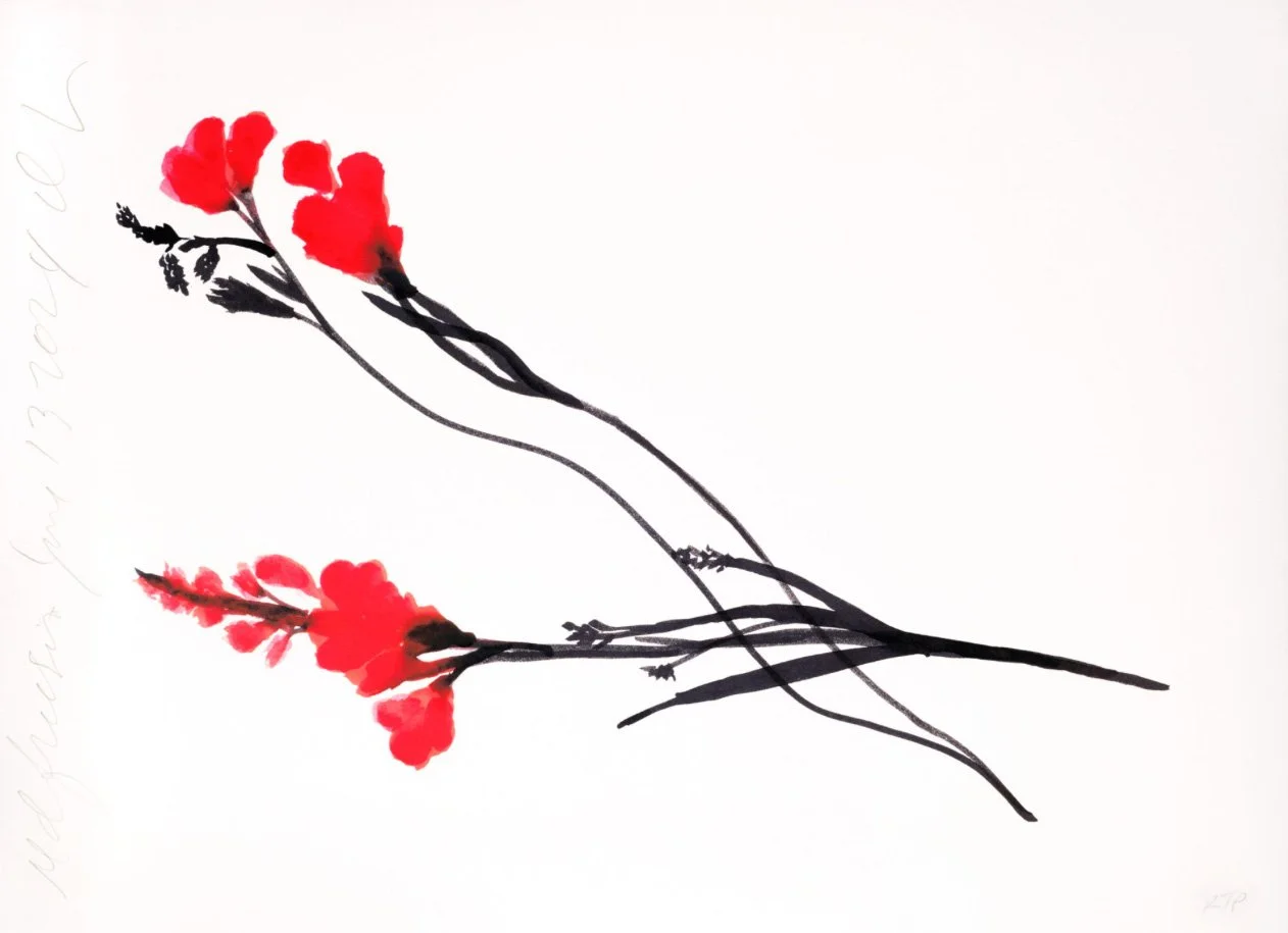 Red Freesia June 13, 2024