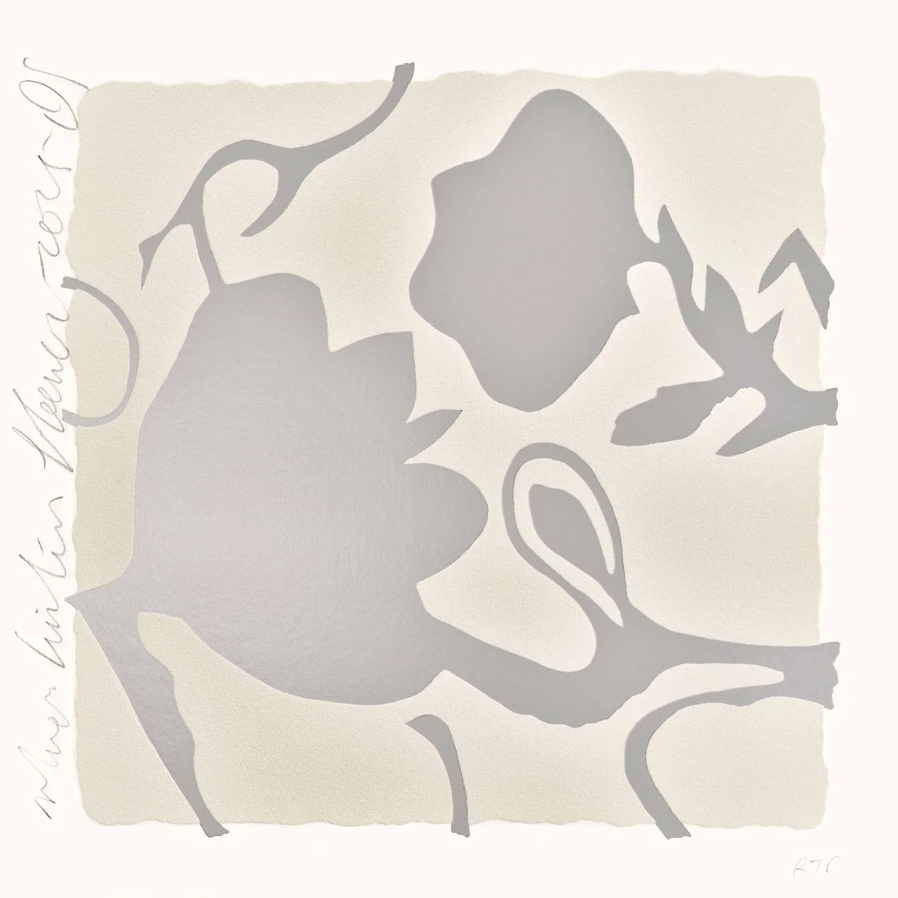 Silver Lantern Flowers