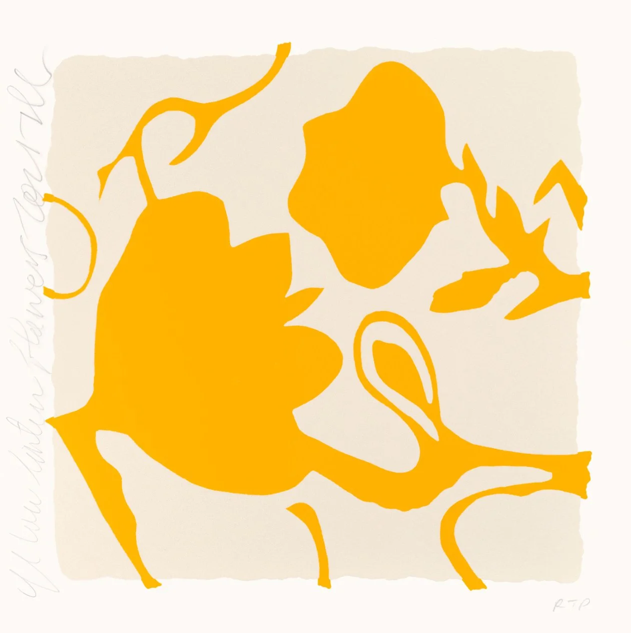 Yellow Lantern Flowers