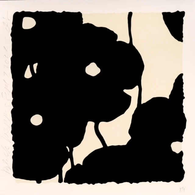 Black And White Poppies