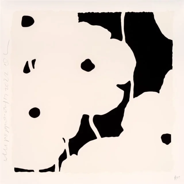 White And Black Poppies