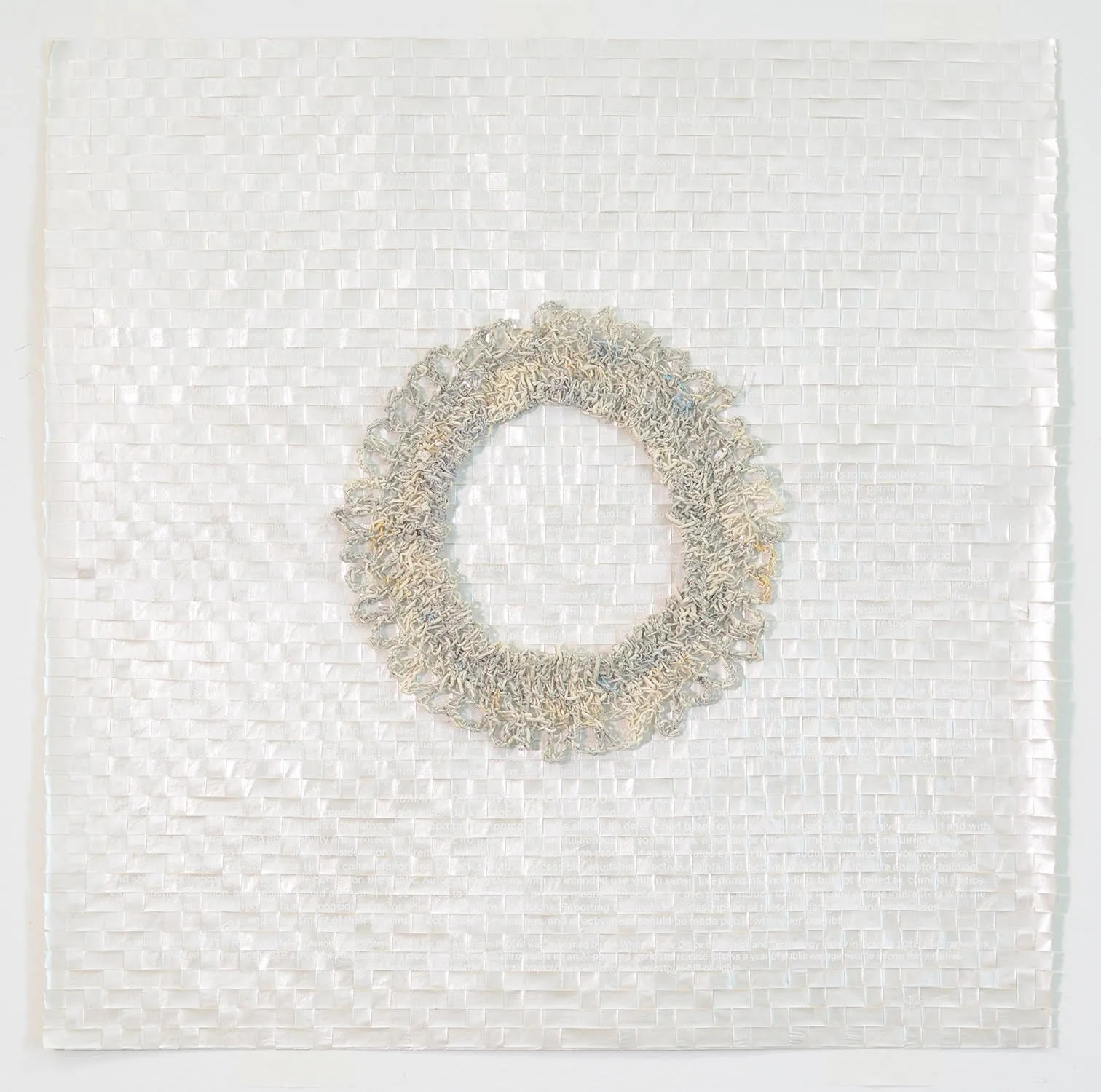 Blueprint for AI Bill of Rights