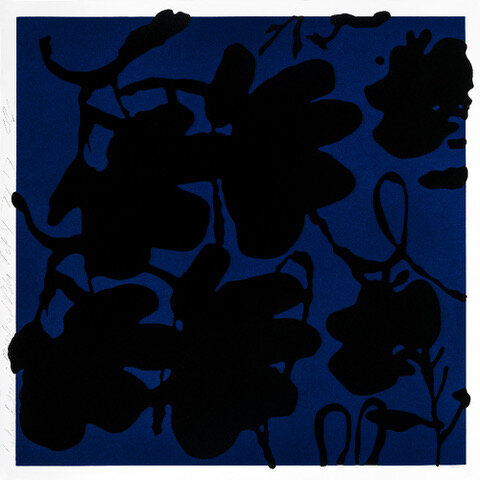 Lantern Flowers, Black and Blue