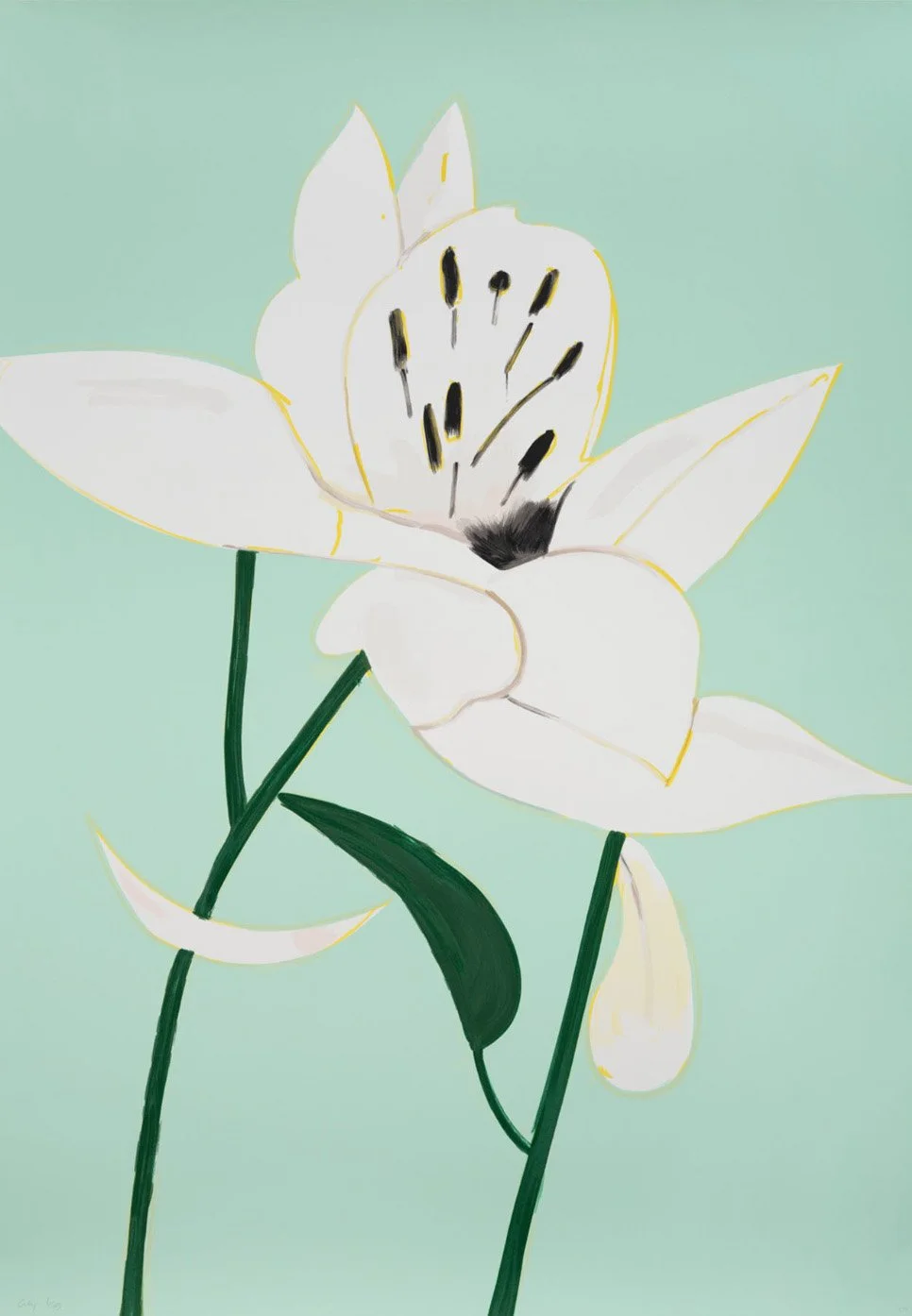 whitelilies4.jpg