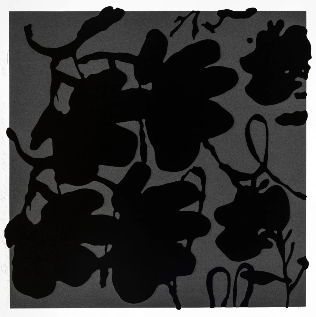 lanternflowersblackandgray.jpg