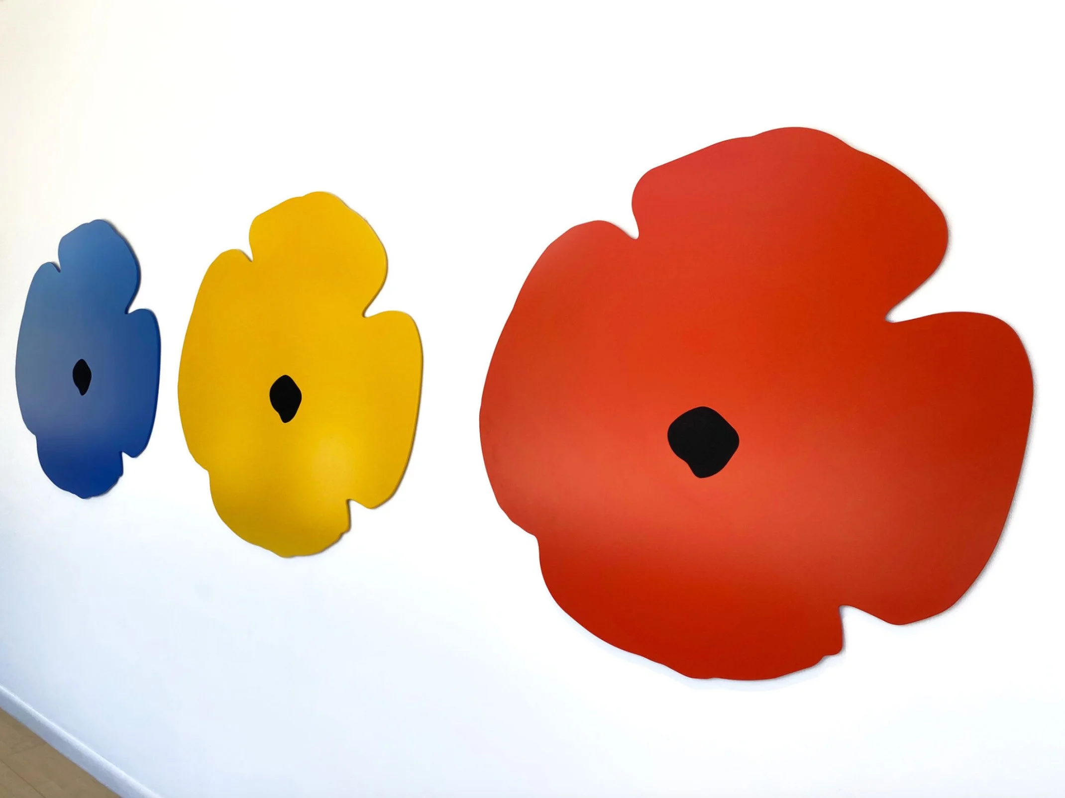 yellowwallpoppy3.jpg