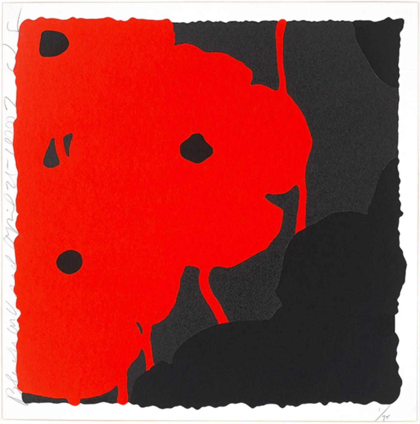 Black and Red, April 25, 2007.jpg