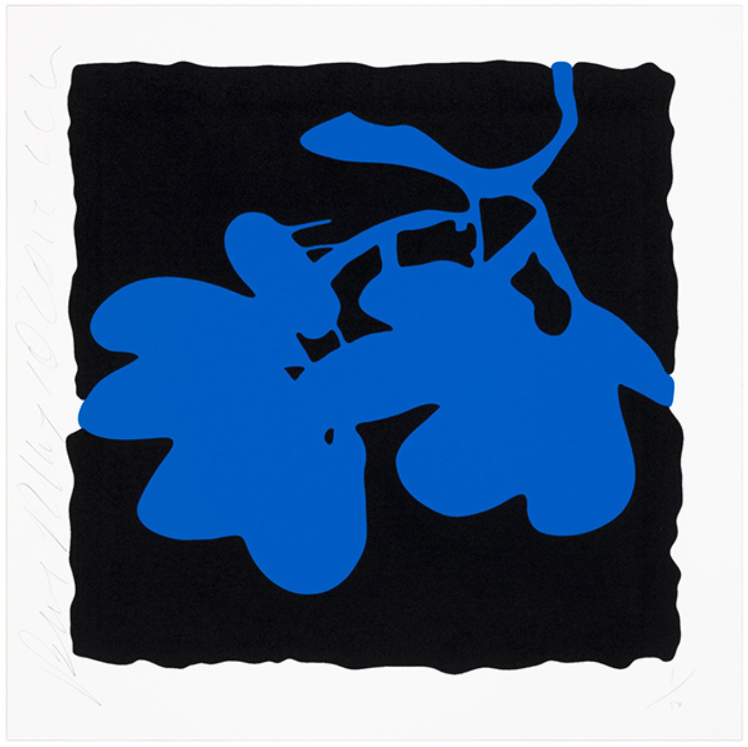 Blue, May 10, 2012.jpg