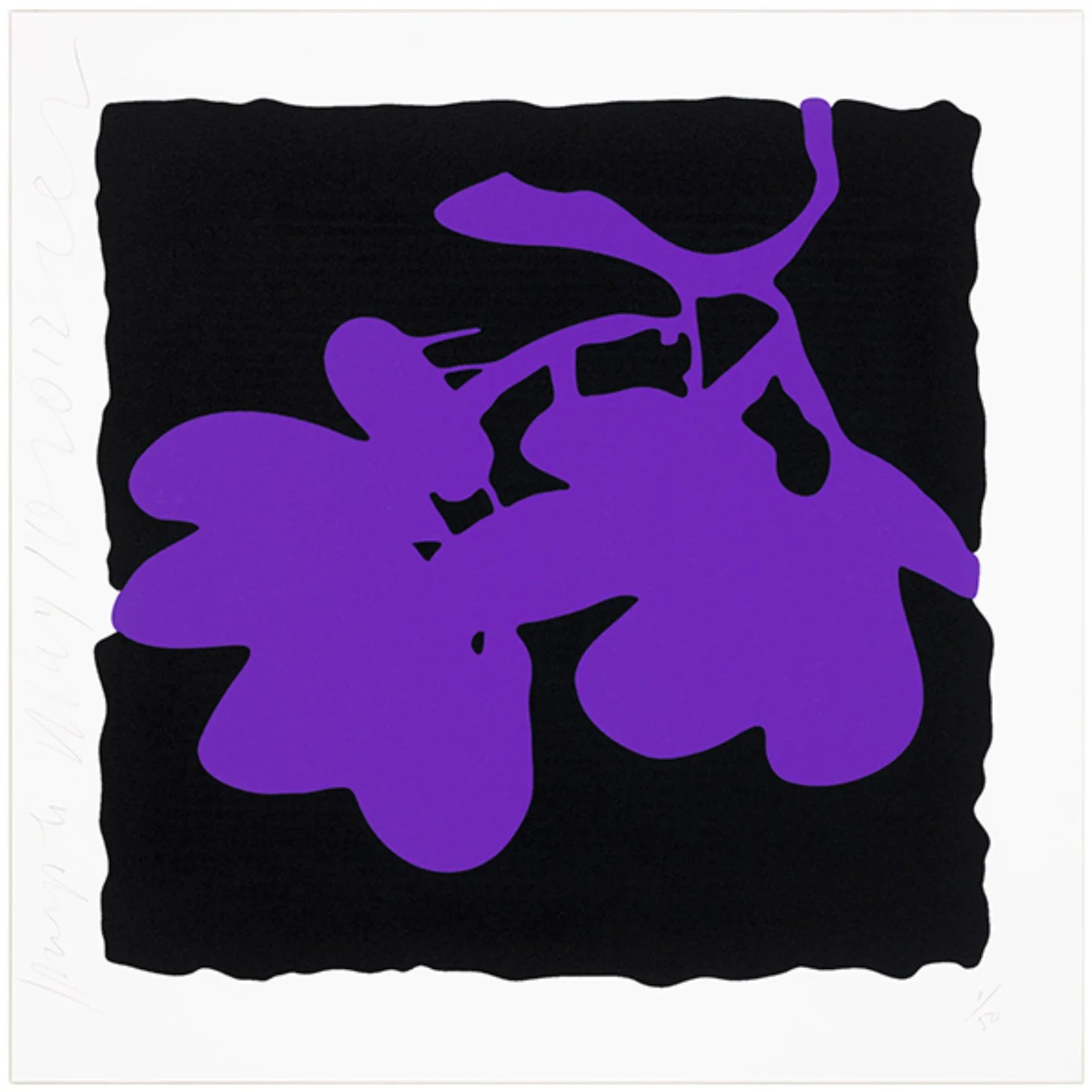 Purple, May 10, 2012.jpg