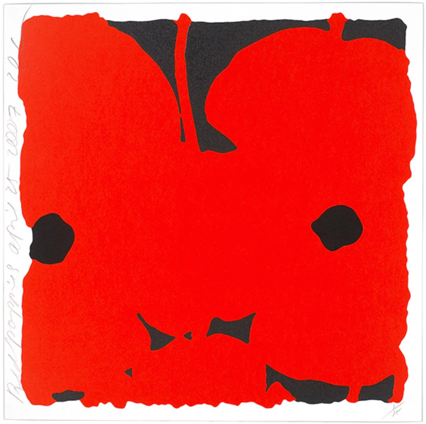 Red Poppies, April 25, 2007.jpg