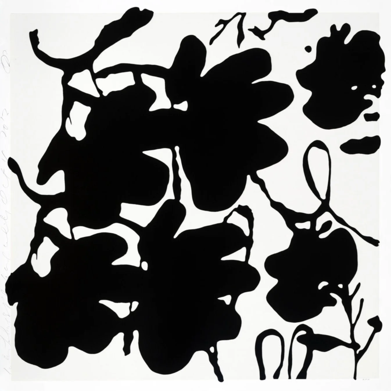 Lanternflowersblackandwhite.jpg