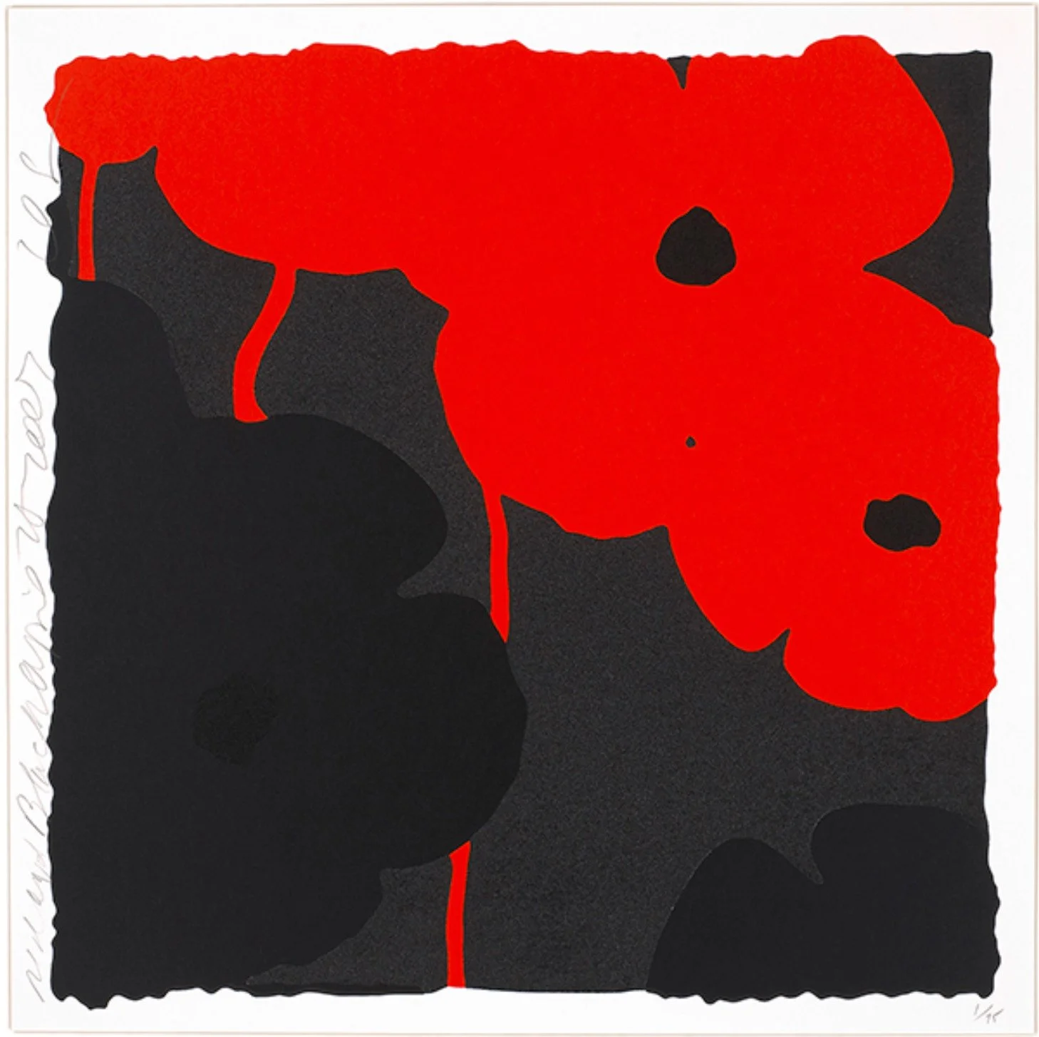 Red and Black, April 25, 2007.jpg