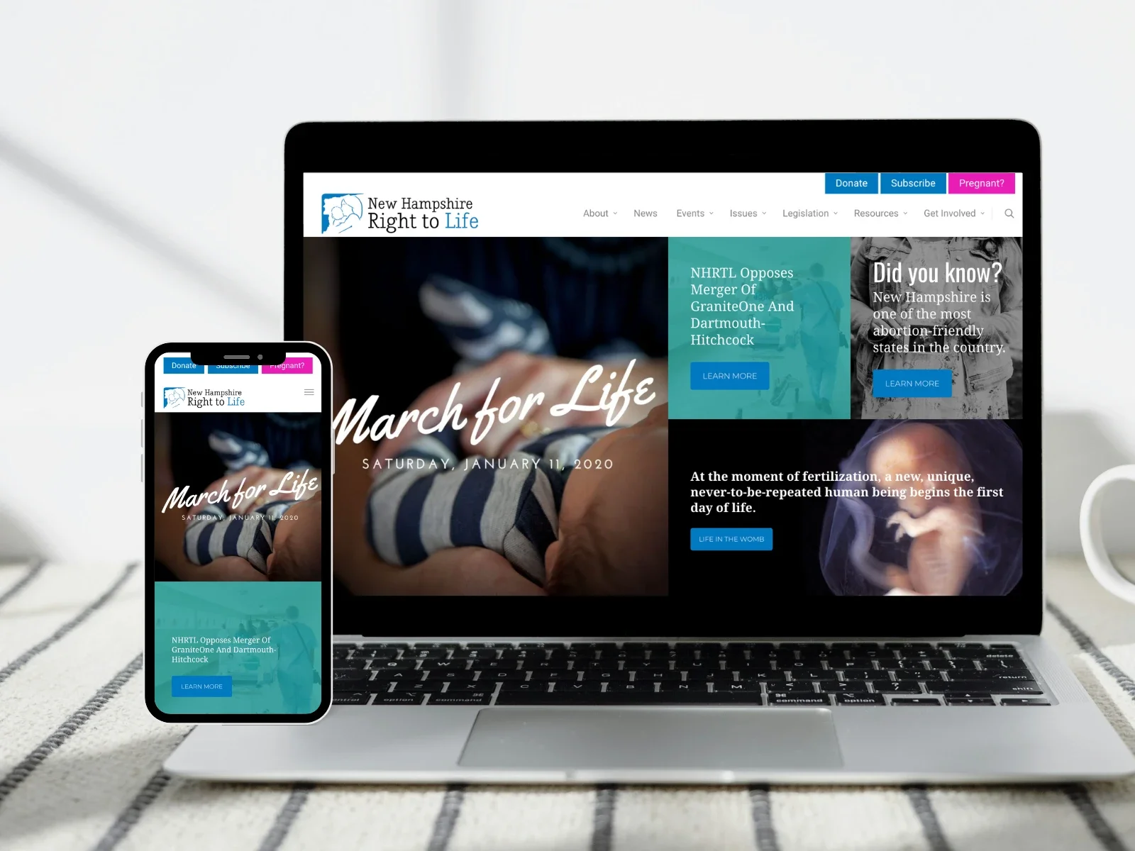 open-tree-creative-portfolio-01 15.webp