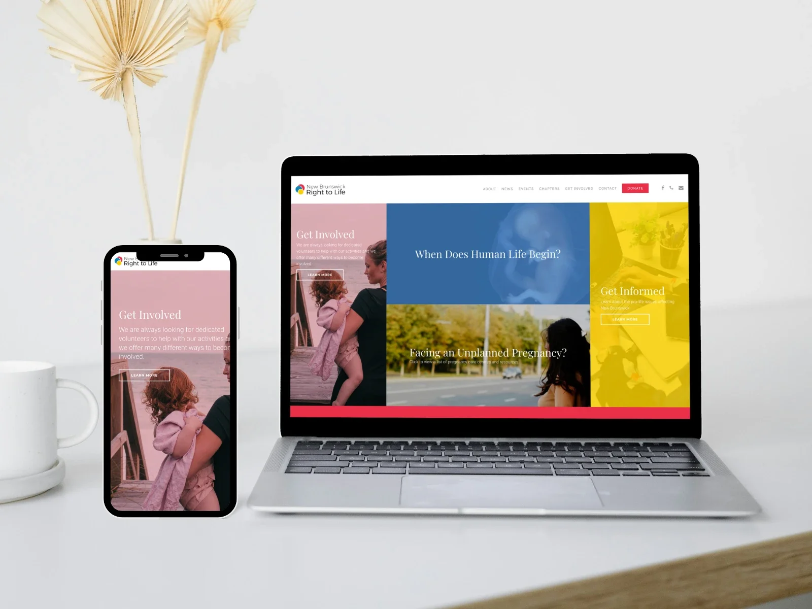 open-tree-creative-portfolio-01 14.webp