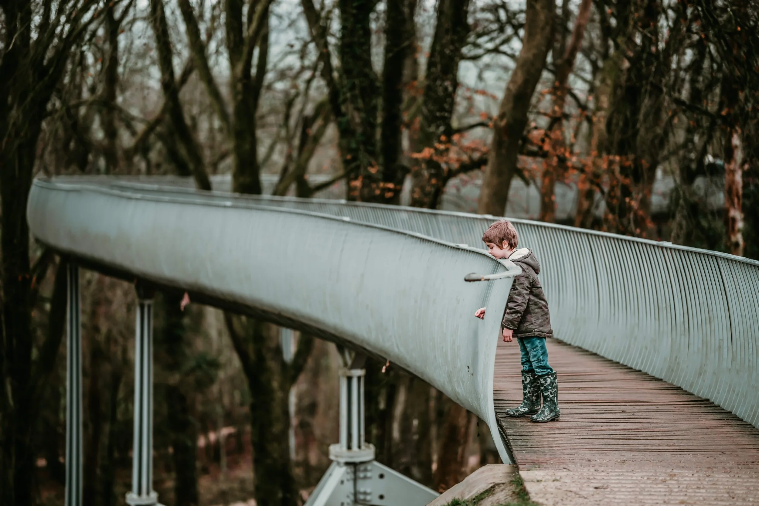 Autumn Ambling 6-min.jpg